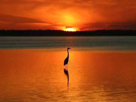 Coucher du soleil